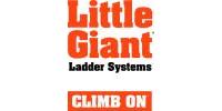 Little Giant Ladder